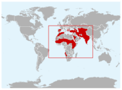 Distribución geográfica del Alimoche
