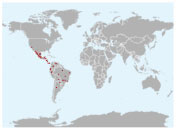 Distribución geográfica de la boa constrictor