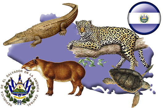 Animales en extinción en El Salvador