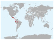 Distribución geográfica de la gallina de monte