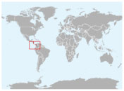 Distribución geográfica del guacamayo verde mayor
