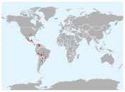 Distribución geográfica del jabirú