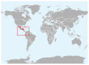 Distribución geográfica del kambul