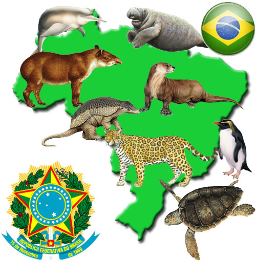 Animales extintos y en peligro de extinción en Brasil