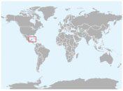 Distribución geográfica del mapache de Cozumel