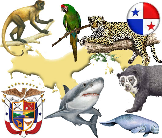 Animales en extinción en Panamá
