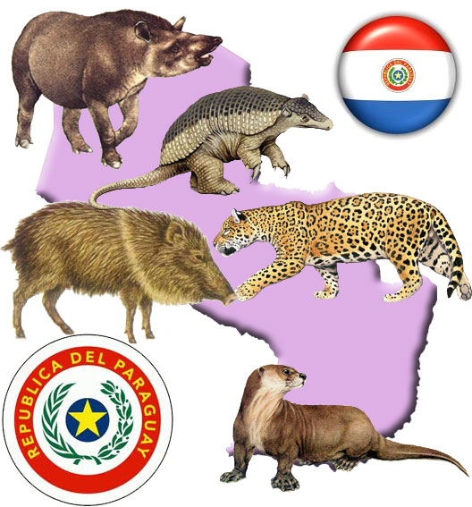 Animales en peligro de extinción en Paraguay
