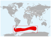 Distribución geográfica del pingüino de penacho anaranjado