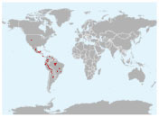 Distribución geográfica del yuc