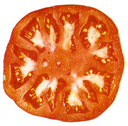 Baya (Tomate)