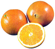 Hesperidio (Naranja)