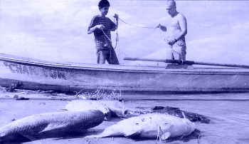 pescadores del Paraná