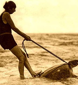 Carreras sobre tortugas - 1930 - Australia